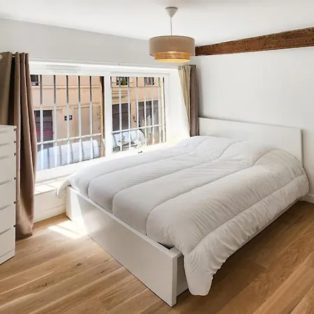 דירה Sublime Joannes Ac ליון